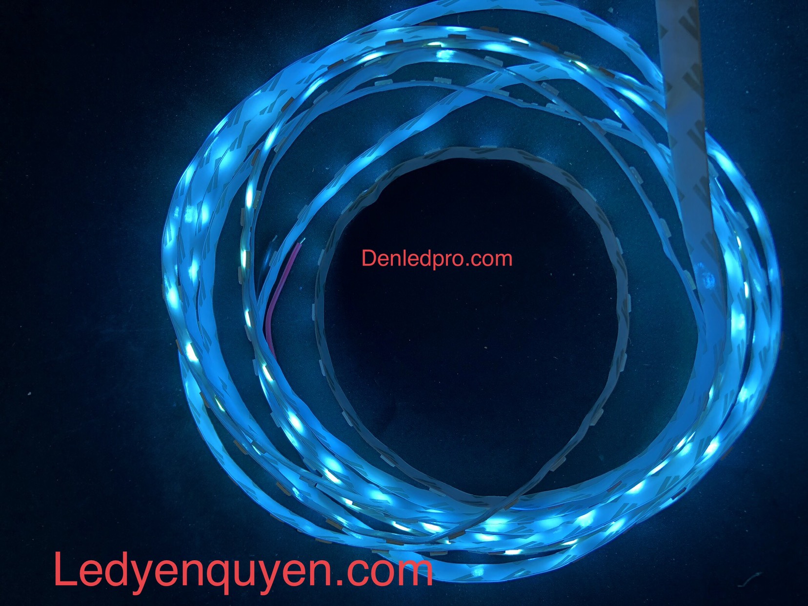 LED Dây 5050 Xanh Ngọc k keo