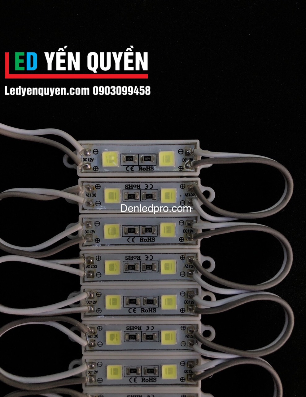 LED MODULE 2B 5054 12V